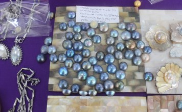 Menyibak Indahnya Mutiara Kerang Air Tawar