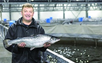 Serba-serbi Budidaya Salmon di Benua Biru